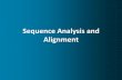 Sequence Analysis and Alignment · 2020-04-07 · Sequence Analysis as the basic tool to discover functional, structural, evolutionary information in biological sequences Sequence