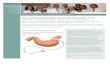 DR. KURI'S FREE GUIDE TO ACHIEVING LONG ... - Lap Band Surgery · The 10 Lap Band Rules Success Stories Lap Band Package Glossary DR. KURI'S FREE GUIDE TO ACHIEVING LONG-TERM WEIGHT
