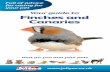 Your guide to Finches and Canaries - Jollyes.co.uk · Finches and canaries need a varied diet of cereals, fruit, vegetables and supplements. Your local Jollyes will have a high quality