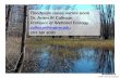 PRESENTATION ON FLOODPLAIN ISSUES: VERNAL POOLSEPA Response to NRRB on Vernal Pool Restoration Inconsistent with Weight of Scientific Evidence “As such, these restoration techniques