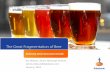 The Great Fragmentation of Beer - USA Hops€¦ · Energy: an $11bn segment ... The shakeout really is happening in craft beer –it is a difficult time to be caught in the middle.