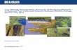 pubs.usgs.govCover: Center: transect flight paths in northwest Alaska (Google Earth ® map). Photographs from transect series, clockwise from …