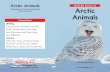 Arctic Animals LEVELED BOOK E Arctic Animals · 2019-06-14 · Arctic Animals. 12 Polar bears live in the Arctic. Moms stay with their cubs for years. Which animals live in the Arctic?