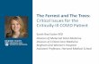 Center for Patient Safety The Forrest and The Trees: Critical … · 2020-04-21 · Sarah Rae Easter MD Division of Maternal Fetal Medicine Division of Critical Care Medicine Brigham