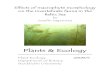 Plants & Ecology/PlantsEcology_2008_5.pdf · 2012-01-16 · Plants & Ecology Plant Ecology 2008/5 Department of Botany ... Plastic aquarium plants, 30 cm of height, with five to six