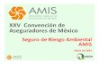 XXV Convención de Aseguradores de México · 2019-09-06 · –1982 Ley Federal de Protección al Ambiente –1988 Ley General del Equilibrio Ecológico y la Protección al Ambiente