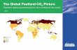The Global Peatland CO2 Picture - India, South Asia€¦ · tropical Africa, tropical South America, and South Asia. 3 Introduction Peatland drainage results in substantial emissions