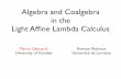 Algebra and Coalgebra in the Light Afﬁne Lambda Calculus · Turing Machines Lambda Calculus PTIME NPTIME PSPACE LOGSPACE BPP LALC INTML STA DLAL RSLR Computability Complexity Implicit