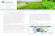 Economic & Policy Update - UK Industrial Hemp Agronomic ...hemp.ca.uky.edu/sites/hemp.ca.uky.edu/files/extbluesheetfeb1940.pdf · industrial hemp program. U.S. hemp acres have increased