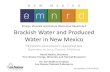 Brackish Water and Produced Water in New Mexico · Treatment-NORM, throughput, solids, filtration, ... • Bench Marking (Permian Basin Water Management Council Member) ... GE Integrated