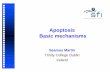 Apoptosis Basic mechanisms - UGent · Discount coupons inside this issue. Cell Phone Volume 1 Number 1 July 2007 Free call credit with this issue. Caspases Apoptosis ... Puma Bmf
