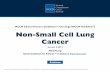 NCCN Clinical Practice Guidelines in Oncology (NCCN ... · Leora Horn, MD, MSc † ... Gregory J. Riely, MD, PhD Eric Rohren, MD, PhD Theresa A. Shapiro, MD, PhD The Sidney Kimmel