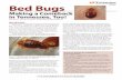 Making a Comeback in Tennessee, Too! Publications...Bed bug bites may cause complications. Asthmatic symptoms have been reported as a result of a bed bug bite, and one person bitten