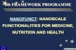 NANOFUNCT: NANOSCALE FUNCTIONALITIES FOR MEDICINE ...polly.phys.msu.ru/seminar/vms/24122002/nanofunct1.pdf · Fundamental Aspects / New Knowledge - WP3: Surface Functionalization.