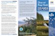 Partnerships Forest and Range Health: INVASIVE · and screening of potential biocontrol agents to control priority invasive plant species in B.C.; ... Program Challenges Three main
