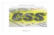 CSS (Cascading Style Sheets o Fogli di stile)...per il tag style è presente l'attributo che indica che le specifiche sono in formato testo e rispecchiano la sintassi css; 10 stile