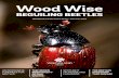 Woodwise July 2017 - Woodland Trust · An inordinate fondness for beetles Jon Webb There are 4,200 recorded species of beetle in Britain, and more than 1,000 live in trees and woodland