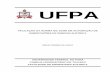 UFPA - protcom.net€¦ · Monografia submetida ao colegiado do Curso de Engenharia Elétrica da Universidade Federal do Pará como parte dos requisitos para obtenção do Grau em