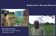 Burkina Faso’s Bt cotton Reversal · (Universityof California,PhD thesis, 2011);Interview, cottoncompanyofﬁcial. 32. The Burkinabè cultivars in use were known to exhibit variance