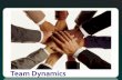 Team Dynamics Successful Team Member Team Dynamics . Stages Consensus Trust Successful Team Member Forming