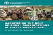 Harnessing the role of rural organizations in social protection - Food and Agriculture ... · 2017-12-15 · Food and Agriculture Organization of the United Nations Rome, 2017 HARNESSING