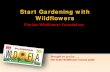 Start Gardening with Wildflowersflawildflowers.org/.../pdf2012/...Symposium-lorez.pdf · Oakleaf hydrangea (Hydrangea quercifolia) •Grows 4 - to 8-feet tall and wide, trims to nice