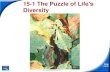 15-1 The Puzzle of Life's Diversitytaubitz.weebly.com/uploads/1/0/4/9/10498079/chapter15-1_and_15-2… · Lamarck's Evolution Hypotheses Evaluating Lamarck's Hypotheses •Lamarck’s