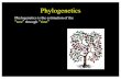 Phylogenetics - University of Wisconsin–Madison · phylogenetics is compounded by issues of “time”and “space”and “form”. Phylogenetics. Phylogenetics In natural and