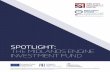 SPOTLIGHT: THE MIDLANDS ENGINE INVESTMENT FUND · believe that, given the right financial support, small businesses have the potential and the ability to transform the Midlands’