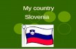 My country Slovenia - Dijaski.net · Slovenia – Zdravljica. We can find his portrait on 2€ coin. The anthem of Slovenia is Zdravljica. The capital of Slovenia is Ljubljana. City