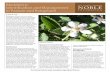 Blackberry: Identification and Management in Pasture and ... · Blackberry: Identification and Management in Pasture and Rangeland ing or attempting to utilize forage in infested
