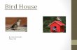 BirdHouse% - williamvanzyldvchc House S Richards.pdf · BirdHouse% By#Sam#Richards# (Year#10)# Similarities Has#the#design#of#a human#house# Has#the#food# covered# Has#mul=ple#rooms#