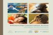 Inﬂuencing Conservation Action - NAAEE · Inﬂuencing Conservation Action: What Research Says About Environmental Literacy, Behavior, and Conservation Results was developed by
