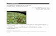 Giant Salvinia (Salvinia molesta) ERSS · “Boat: Salvinia molesta may be spread within and between water-bodies by contaminated boats, boat trailers, motors and recreation and fishing