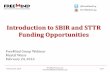 Introduction to SBIR and STTR Funding Opportunities€¦ · February 24, 2016 FreeMind Group, LLC 27/34 Solicited Solicited SBIR/STTR Opportunities 88 open solicitations in the SBIR/STTR
