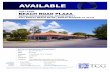 Flyer Beach Road Plaza - LoopNet€¦ · Trinity Commercial Group | 2590 Northbrooke Plaza Drive | Suite 108 | Naples, FL 34119 |  © 2013 Trinity Commercial Group, Inc.