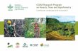CGIAR Research Program on Forests, Trees and Agroforestry€¦ · The program’s research targets 46% of Earth’s forest cover and approximately 500 million people for whom trees