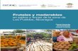 Frutales y maderables - CATIErepositorio.bibliotecaorton.catie.ac.cr/bitstream/...The CGIAR Research Program on Forests, Trees and Agroforestry: Livelihoods, Landscapes and Governance