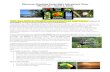 Discover Creation Costa Rica Adventure Tour March 23 April ... · 8.06.2018  · Daily Itinerary Below is a detailed itinerary for the tour. Scroll through and click on the arrows