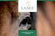 Laake GmbH | Über Uns · classic elegance supreme. classic. elegance