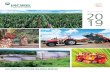 ANNUAL REPORT - Hap Seng Plantations · Jalan P. Ramlee 50250 Kuala Lumpur, Malaysia Date Wednesday, 1 July 2020 Time 10.00 a.m. ANNUAL GENERAL MEETING 13TH CORPORATE INFORMATION