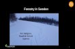 Forestry in Sweden€¦ · Swedish forests •Forestry cooexist with other stakeholders and values •70% of the Swedes visit forests regulary •Rein deer hurding, 50% of the land