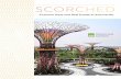 SCORCHED - asia.uli.org · pedestrians enjoying the walkways and gardens underneath, and the plants that grow vertically on each tree trunk provide natural cooling and heat dissipation