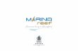 Reef Island - Marina Reef · Reef island is a gated community with wide array of amenities including five-star hotel, marina and yacht club, an aquarium, a well care center, a shopping