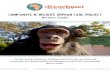 conservation at a chimp sanctuary Jane Goodall once called ... · Chimpanzees are social animals with strong family bonds. They live in large groups of 25 or more, and female chimpanzees