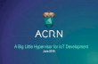 A Big Little Hypervisor for IoT Development · 2020-03-21 · booting capabilities. ... • Linux, Android Guest OS’s • Multiple Guest VMs in Sharing Mode • Sharing of various