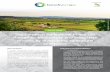 POLICY BRIEF The Common Agricultural Policy can strengthen ... · The Common Agricultural Policy can strengthen biodiversity and ecosystem services by diversifying agricultural ...