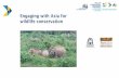 Engaging with Asia for wildlife conservation · Engaging with Asia for wildlife conservation – The intent and purpose: our strategy – Understanding the environment – Support