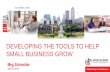 DEVELOPING THE TOOLS TO HELP SMALL BUSINESS GROW · DEVELOPING THE TOOLS TO HELP SMALL BUSINESS GROW. WHO IS THE PARTNERSHIP. THE PARTNERSHIP REPRESENTS Supporting our Regional Business
