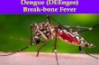 Dengue (DEEngee) Break-bone Fever · •Usually Four types of Dengue Virus, Fifth type has been identified in 2013 •DENV-1 •DENV-2 •DENV-3 •DENV-4 •DENV-5 (Sylvatic- Occurring